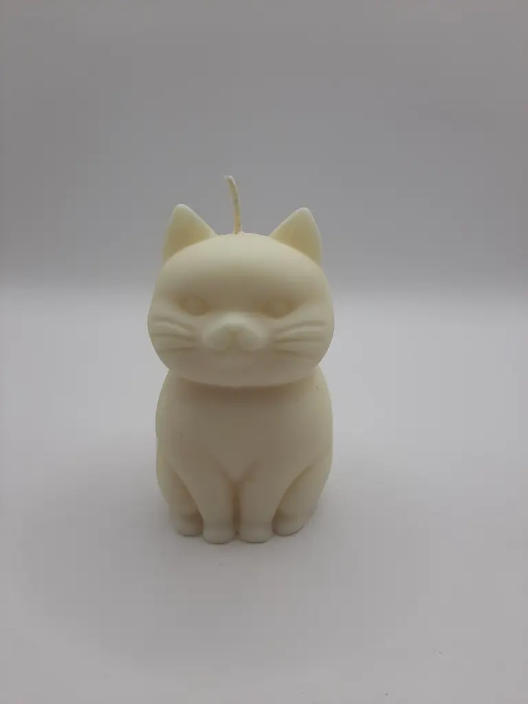 Poes