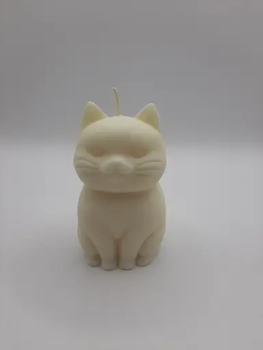 Poes