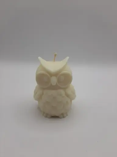 Kleine uil